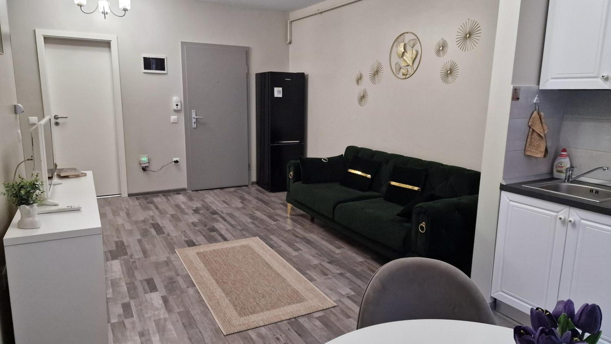 Sophia Home 1 Брашов Екстер'єр фото