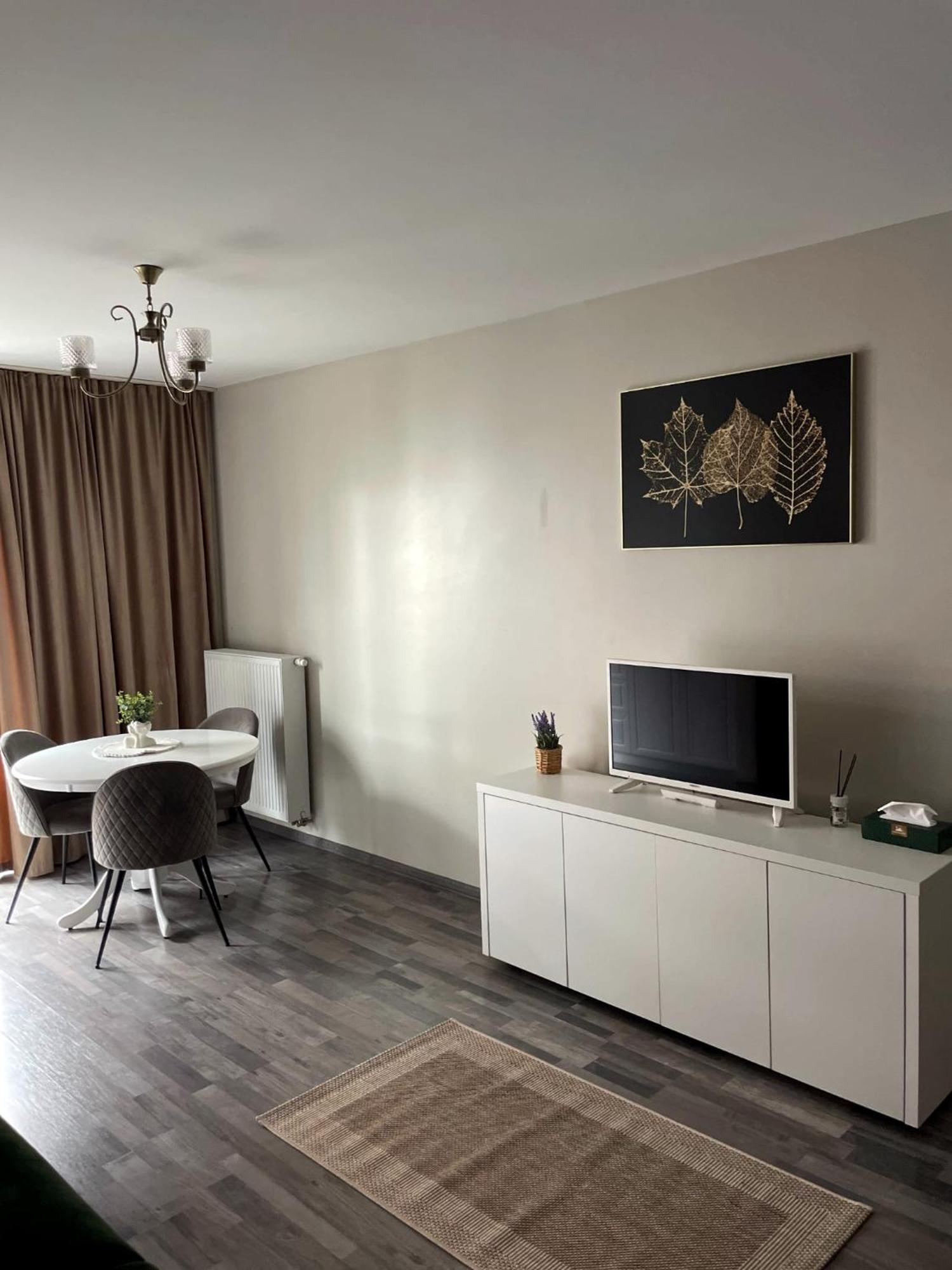 Sophia Home 1 Брашов Екстер'єр фото
